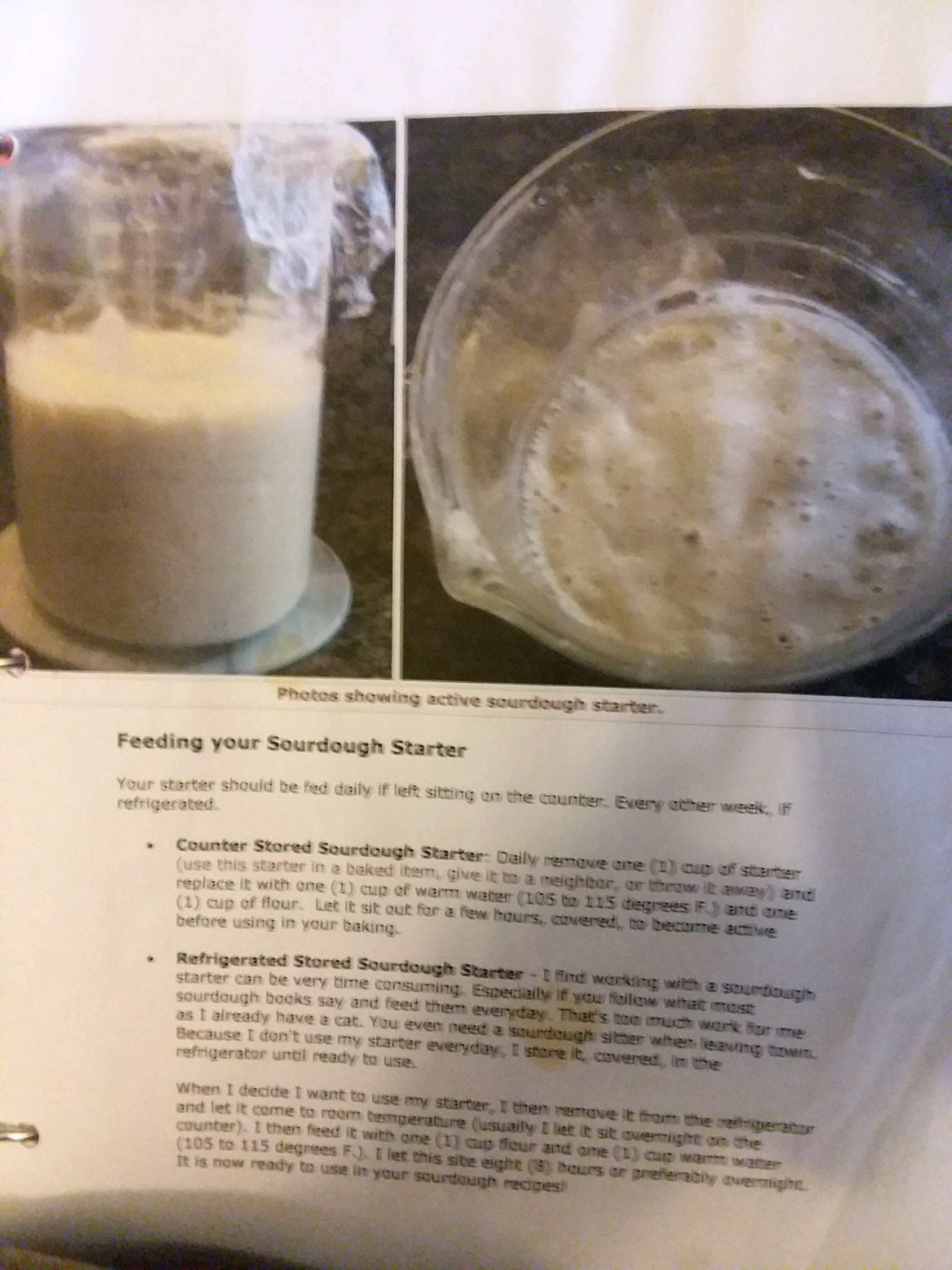 Sour dough starter feeding.jpeg