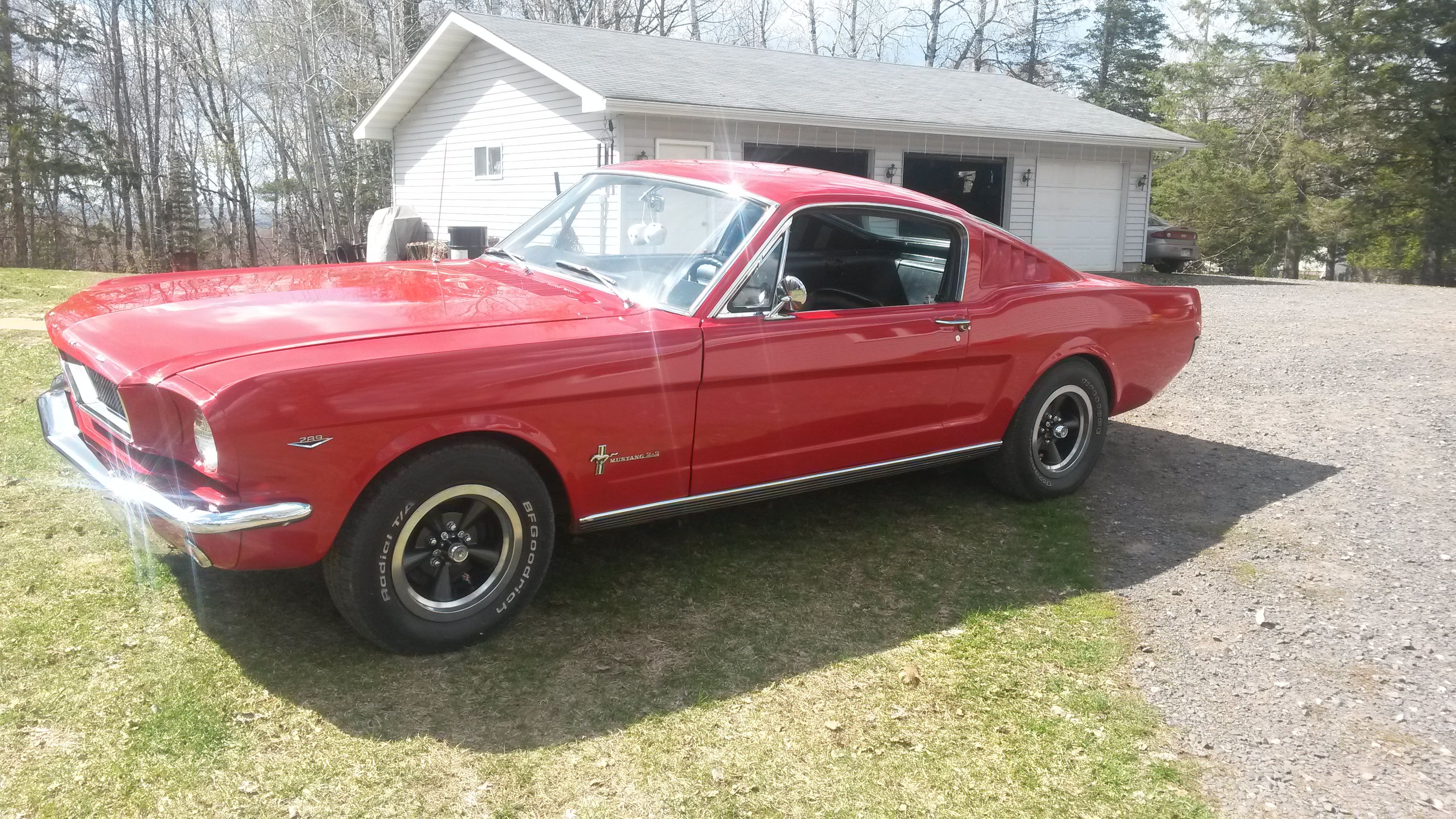 20190511_152954.jpg
