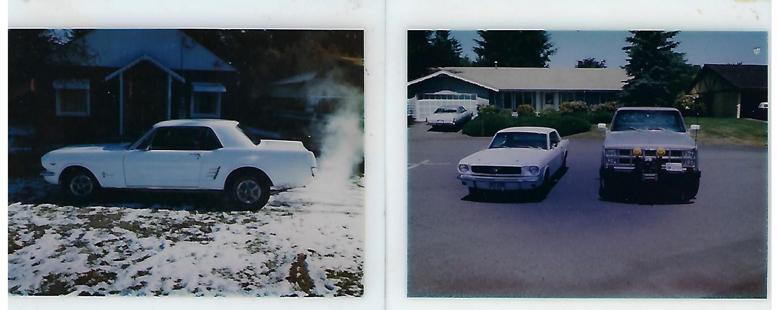 66 Mustang and 82 Truck.jpg