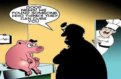 Pig Good News!.jpg