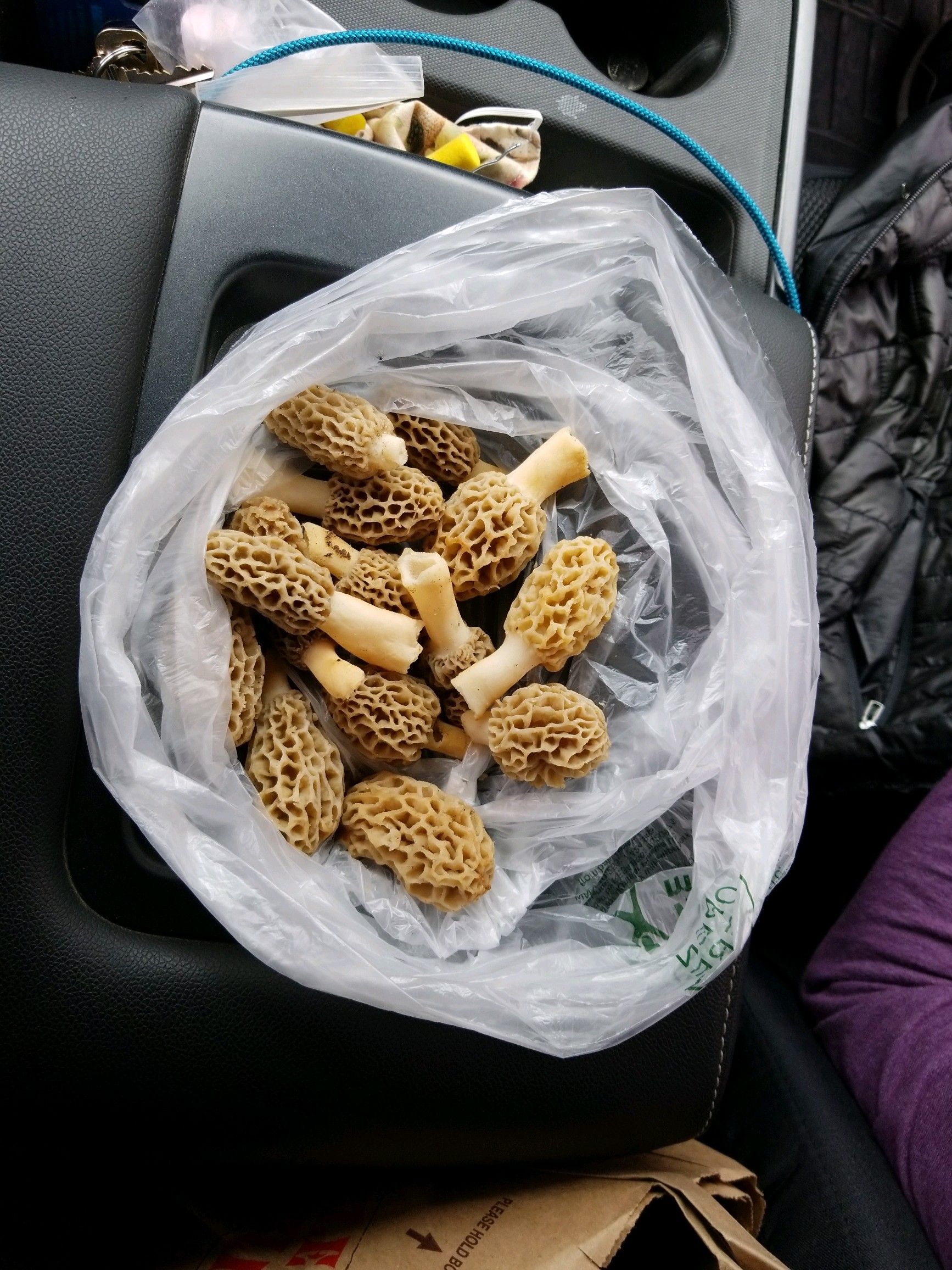 ebca7838-7936-4d38-98f2-320e5869de4d-image50153.jpg