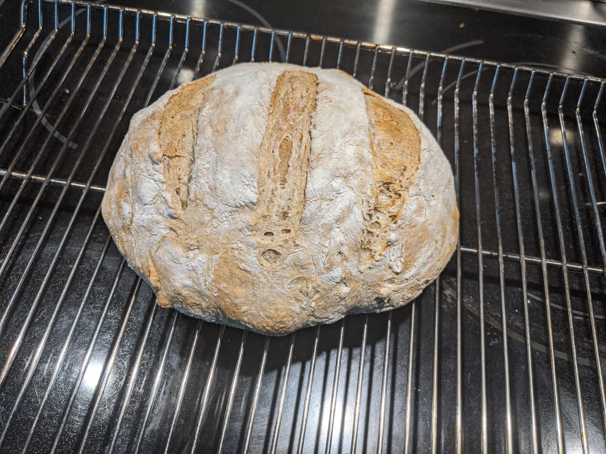Country Boule.jpg