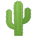 Elsos
