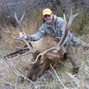 ElkHunter1